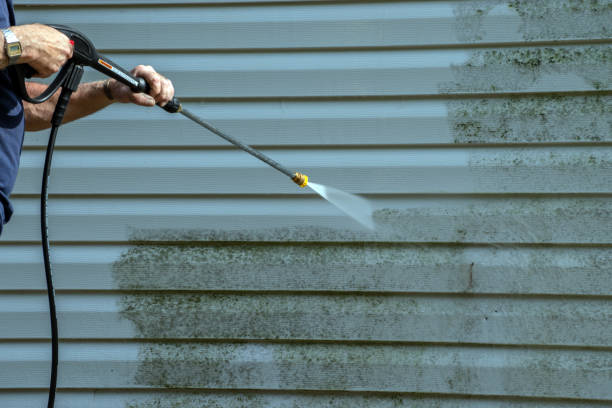 Best Exterior Home Cleaning  in New Tazewell, TN