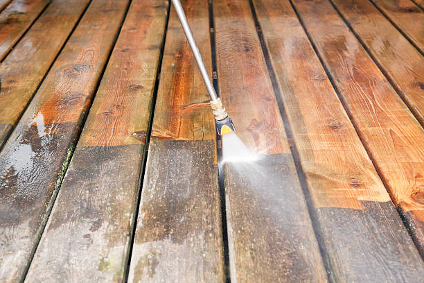 Best Affordable Power Washing  in New Tazewell, TN