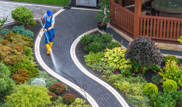 Best Roof Pressure Washing  in New Tazewell, TN